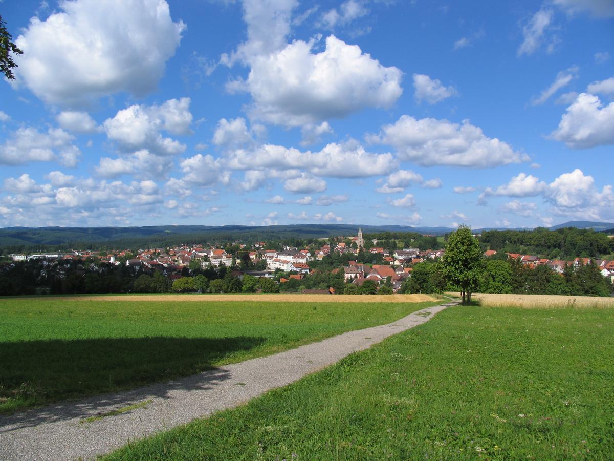 Moehringers Schwarzwald Hotel Бондорф  Экстерьер фото